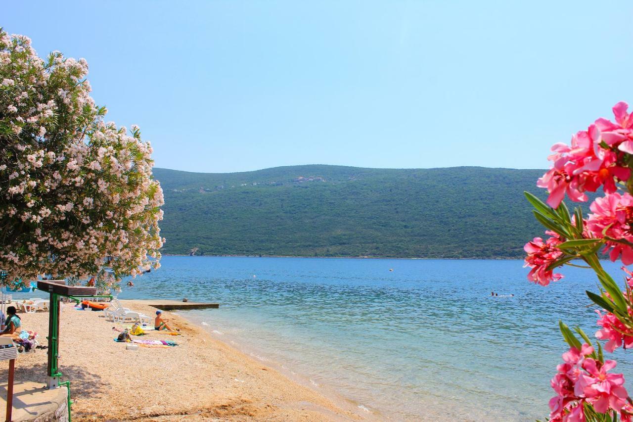 Mimoza Apartments Ðenovići Dış mekan fotoğraf